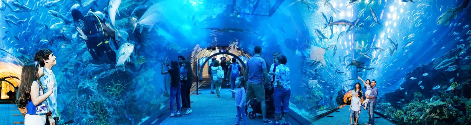 Dubai Mall Aquarium Tickets ( DAUZ )